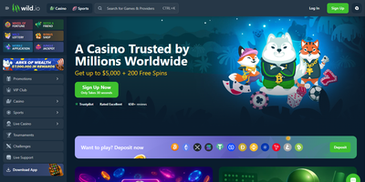Wild.io site preview